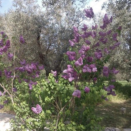Masseria Costanza 普蒂尼亚诺 外观 照片
