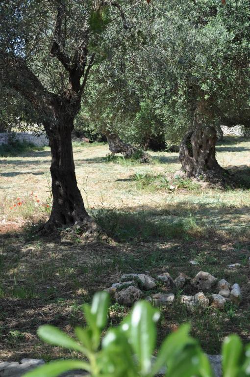 Masseria Costanza 普蒂尼亚诺 外观 照片